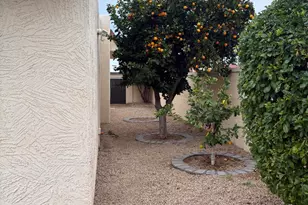 7006 E Jensen St, Mesa, AZ 85207 - Photo 3