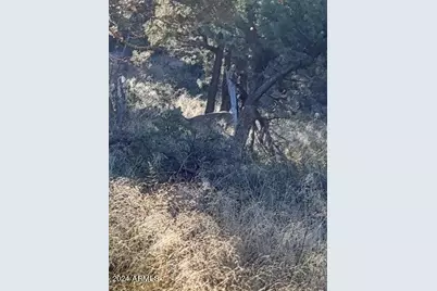 Lot 163 N Portal Drive #163, Pine, AZ 85544 - Photo 5