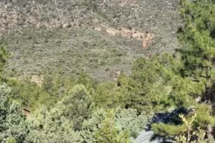 Lot 163 N Portal Dr, Pine, AZ 85544 - Photo 1