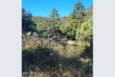 Lot 163 N Portal Drive #163, Pine, AZ 85544 - Photo 3