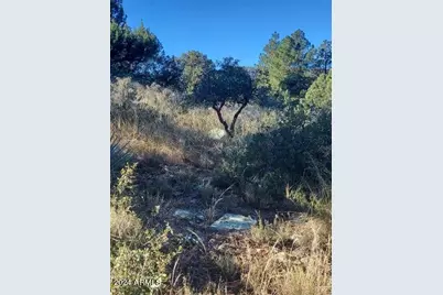 Lot 163 N Portal Drive #163, Pine, AZ 85544 - Photo 7