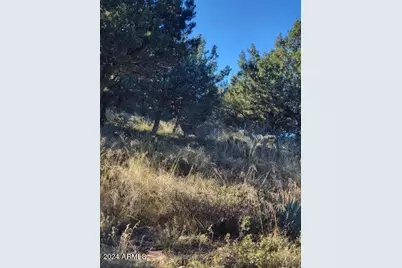 Lot 163 N Portal Drive #163, Pine, AZ 85544 - Photo 9