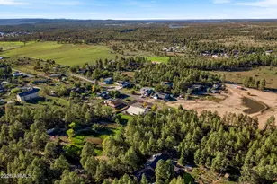 2865 Penney Ln, Lakeside, AZ 85929 - Photo 49