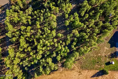 2865 Penney Lane, Lakeside, AZ 85929 - Photo 51