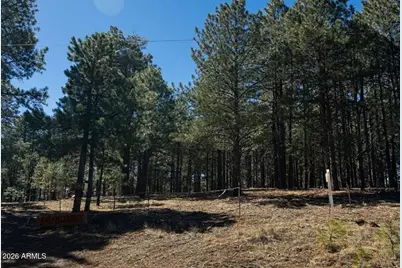 1080 Pond Circle #890, Forest Lakes, AZ 85931 - Photo 1
