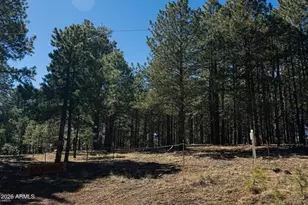 1080 Pond Cir, Forest Lakes, AZ 85931 - Photo 1