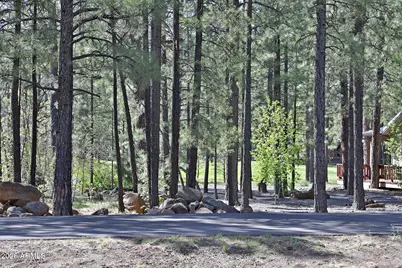 7466 Buck Springs Road #175, Pinetop, AZ 85935 - Photo 5