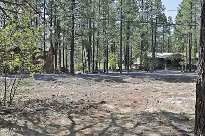 7466 Buck Springs Road #175, Pinetop, AZ 85935 - Photo 3