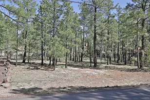 7466 Buck Springs Rd, Pinetop, AZ 85935 - Photo 1