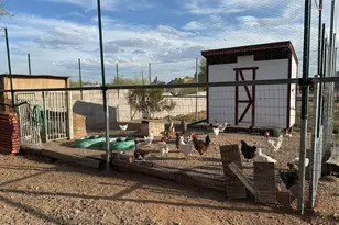 2569 W Silverdale Rd, San Tan Valley, AZ 85144 - Photo 55