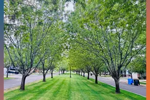 3494 E Spring Wheat Ln, Gilbert, AZ 85296 - Photo 55