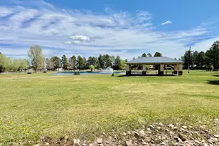 2644 Lodge Loop, Overgaard, AZ 85933 - Photo 25