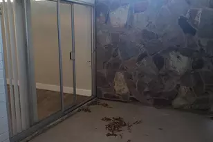 301 W Medlock Dr, Phoenix, AZ 85013 - Photo 25