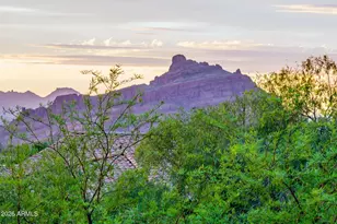 3952 N El Sereno, Mesa, AZ 85207 - Photo 71