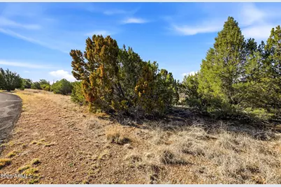 8379 Lake View Drive #132, Show Low, AZ 85901 - Photo 7