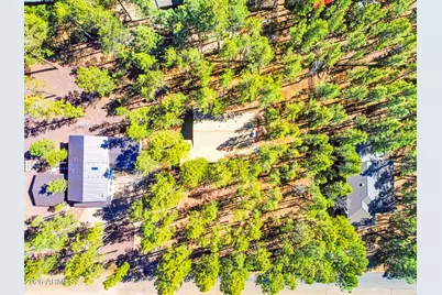 7345 Tall Pine Drive, Pinetop, AZ 85935 - Photo 37