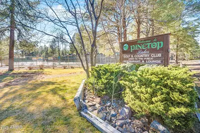 7345 Tall Pine Drive, Pinetop, AZ 85935 - Photo 35