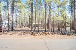 7345 Tall Pine Dr, Pinetop, AZ 85935 - Photo 33