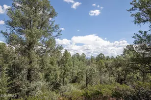 2002 E Thunder Mountain, Payson, AZ 85541 - Photo 33