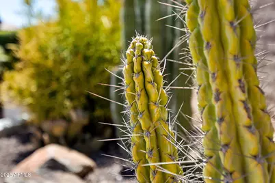 1732 E Vesper Trail, Queen Creek, AZ 85140 - Photo 23