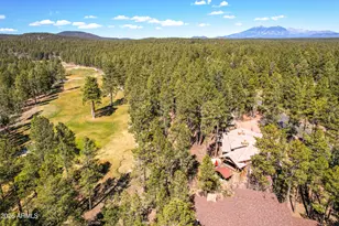 4219 Griffiths Spring, Flagstaff, AZ 86005 - Photo 13