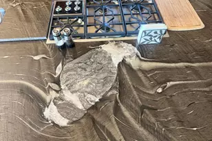 34253 N 92nd Way, Scottsdale, AZ 85262 - Photo 47