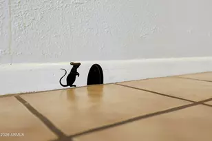 2232 S Don Carlos, Mesa, AZ 85202 - Photo 13