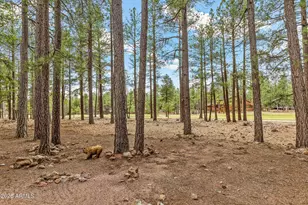 2569 Hart Merriam, Flagstaff, AZ 86005 - Photo 65