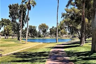 26629 S New Town Dr, Sun Lakes, AZ 85248 - Photo 61