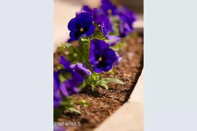 3034 W Night Owl Lane, Phoenix, AZ 85085 - Photo 33