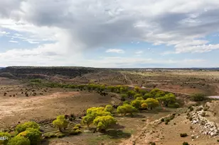 631 N Centennial Blvd, Taylor, AZ 85939 - Photo 33