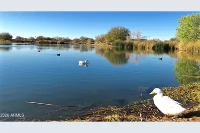 3994 E Grand Canyon Place, Chandler, AZ 85249 - Photo 63