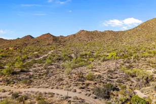 4252 N Diamond Point, Mesa, AZ 85207 - Photo 95