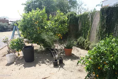 6229 E Via Estrella Avenue, Paradise Valley, AZ 85253 - Photo 13