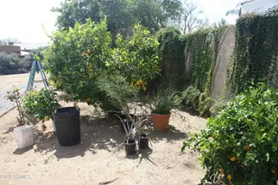 6229 E Via Estrella Ave, Paradise Valley, AZ 85253 - Photo 13