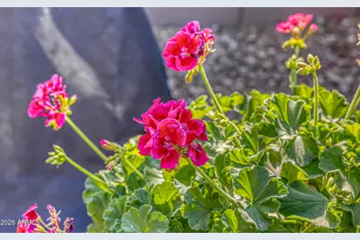 7024 E Russell Street, Mesa, AZ 85207 - Photo 45