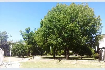 6118 N 12th Place #2, Phoenix, AZ 85014 - Photo 27