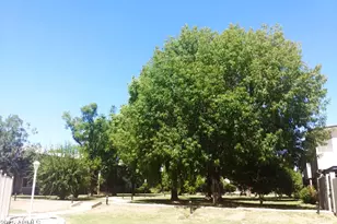 6118 N 12th Pl, Phoenix, AZ 85014 - Photo 27