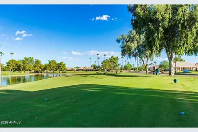 9031 E Coopers Hawk Drive, Sun Lakes, AZ 85248 - Photo 51