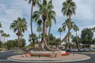 9031 E Coopers Hawk Dr, Sun Lakes, AZ 85248 - Photo 49