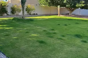 6361 W Deer Valley Rd, Glendale, AZ 85308 - Photo 51