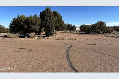 3Xx S Manor Circle S #4, Snowflake, AZ 85937 - Photo 5