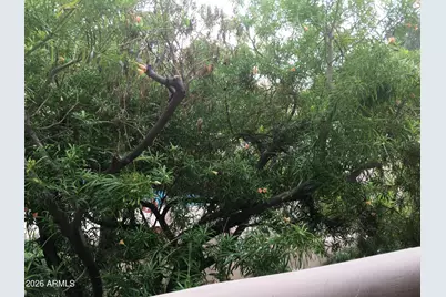 1449 E Highland Avenue #6, Phoenix, AZ 85014 - Photo 11