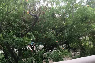 1449 E Highland Ave, Phoenix, AZ 85014 - Photo 11