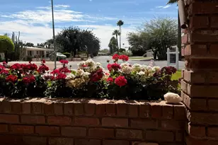 519 N Redondo Dr N, Litchfield Park, AZ 85340 - Photo 69