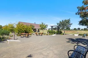 20717 E Pummelos Rd, Queen Creek, AZ 85142 - Photo 85