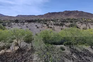 1654 W Buist Ave, Phoenix, AZ 85041 - Photo 53