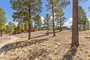 3401 S Brown Sage Ct, Flagstaff, AZ 86005 - Photo 1