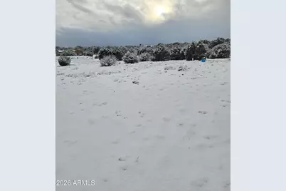 6635 Avanti Way, Show Low, AZ 85901 - Photo 39