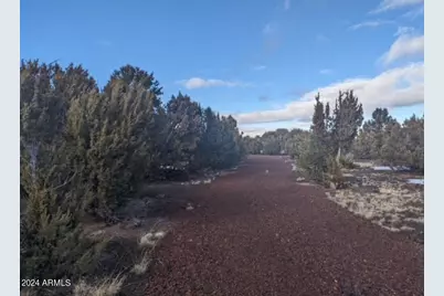 12 N3582 -- #(4.86 Acres), Vernon, AZ 85940 - Photo 3
